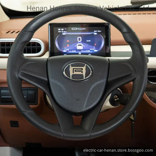 Right Hand Classic Color Family Car 4 Seats Electric Car